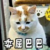 EVE