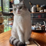 大雨维生素复合