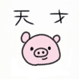 纯白小珍猪