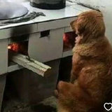 宗允禾