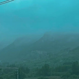 雀死狐生