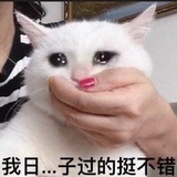 柳江人家
