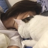 三猫浪子
