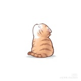 喵语轻茶