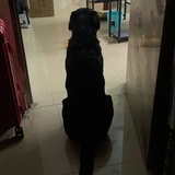 李牧之