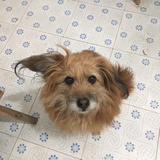 暂时性踌躇满志