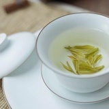 陈皮金儿