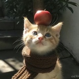 明蕴