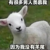白白白
