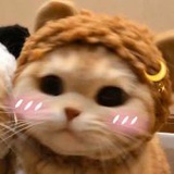 乐乐乐乐乐乐__