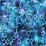 Phyreal