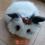 盛晏