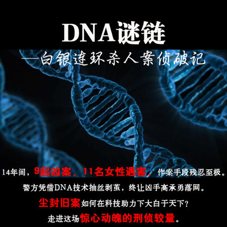 DNA谜链:白银连环杀人案侦破记