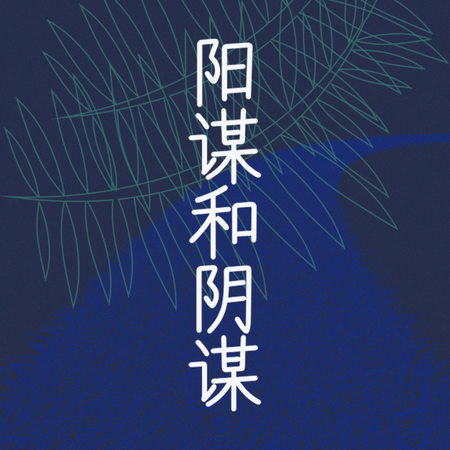 阳谋与阴谋：历史博弈中的双生智慧