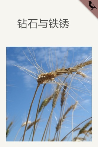 让你的美好自成气象