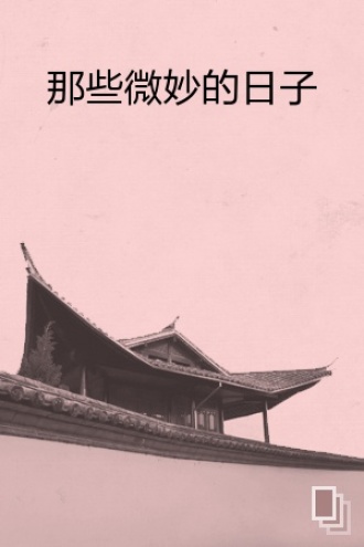 那些微妙的日子
