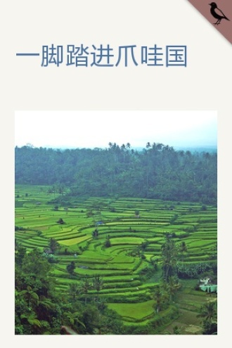 一脚踏进爪哇国