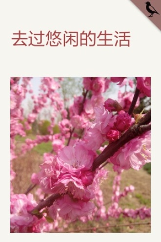 去过悠闲的生活