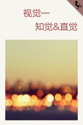 视觉：知觉&直觉