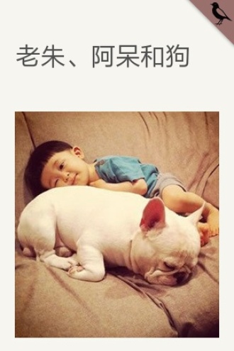 老朱、阿呆和狗