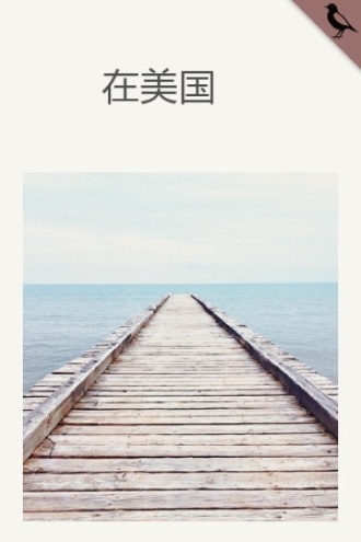 在美国