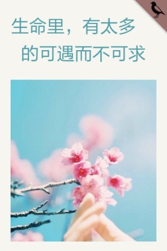 生命里，有太多的可遇而不可求