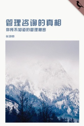 管理咨询的真相