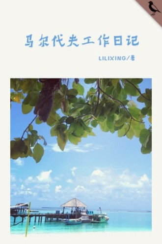 马尔代夫工作日记