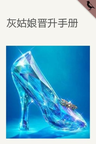 灰姑娘晋升手册