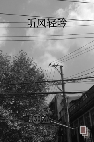 听风轻吟