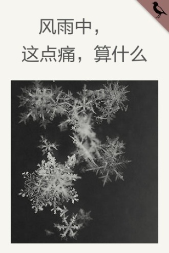 风雨中，这点痛，算什么