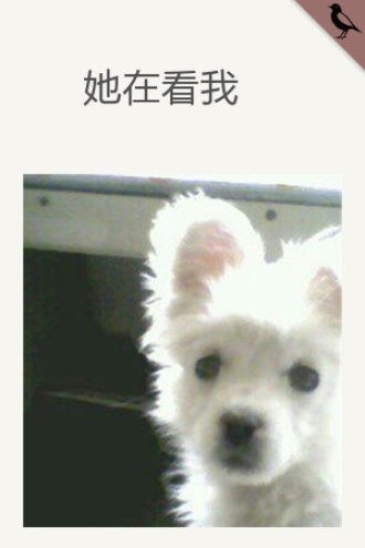 她在看我