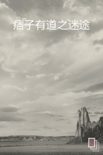 痞子有道之迷途