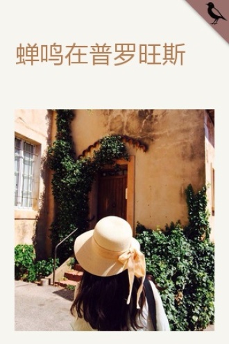 蝉鸣在普罗旺斯