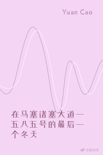 在马塞诸塞大道一五八五号的最后一个冬天