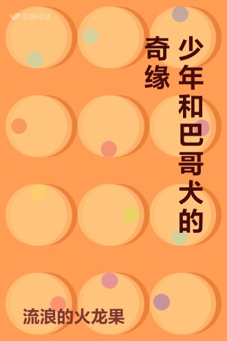 少年和巴哥犬的奇缘