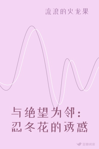 与绝望为邻：忍冬花的诱惑