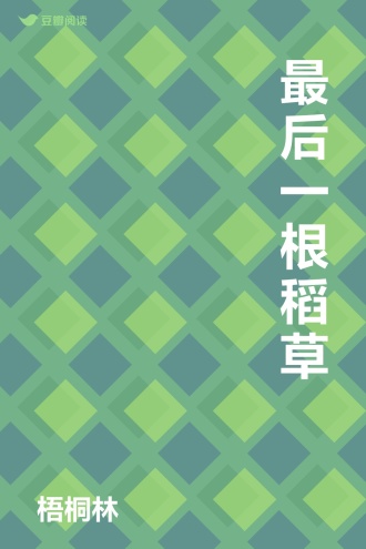 最后一根稻草