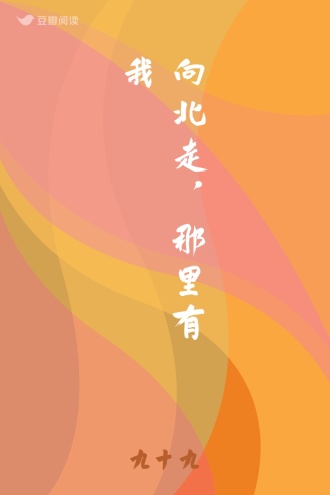 向北走，那里有我