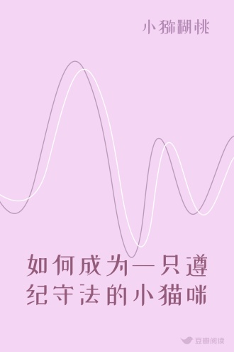 如何成为一只遵纪守法的小猫咪