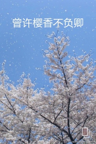 曾许樱香不负卿