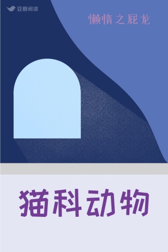 猫科动物