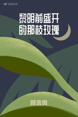 黎明前盛开的那枝玫瑰