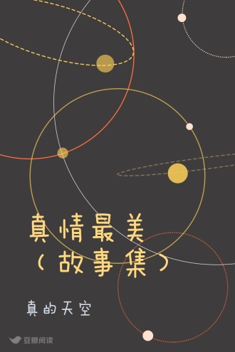 真情最美（故事集）