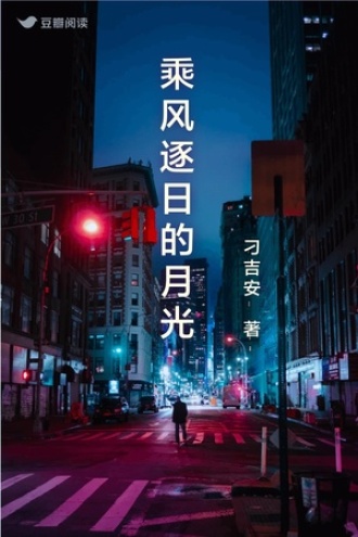 乘风逐日的月光