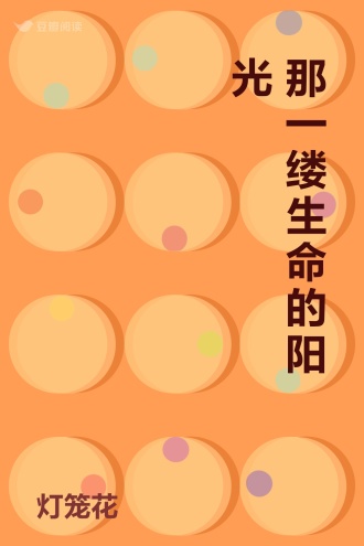 那一缕生命的阳光