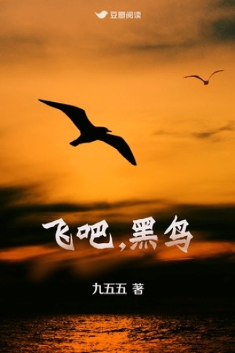 飞吧，黑鸟