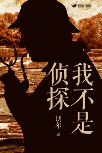我不是侦探