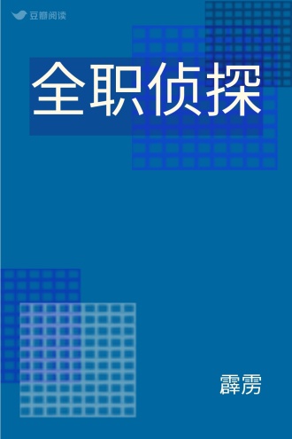全职侦探