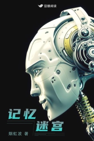 记忆迷宫